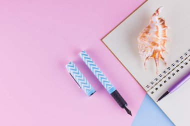 Okul konseptine geri dönelim. Okul kırtasiye ve pembe mavi arka plan üzerinde deniz kabuğu. Pastel arka plan üzerine kalemler, kalem ve gon. Üst te. Kopyalama alanı