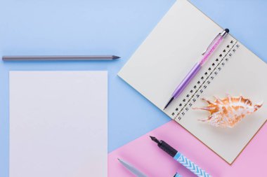 Okul konseptine geri dönelim. Okul kırtasiye ve pembe mavi arka plan üzerinde deniz kabuğu. Pastel arka plan üzerine kalemler, kalem ve gon. Üst te. Kopyalama alanı