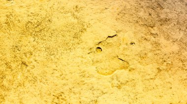 Soyut tonda arka plan. Doğal taş dokusu. Pürüzlü yüzey deseni. Vintage doku. Geniş ekran