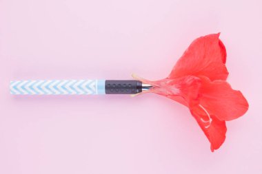 Gerçeküstü bir kavram. Dolma kalem ve gladiolus çiçek. Pembe arka planda kırmızı çiçek ve mavi kalem ile yaratıcı konsept. Üstte görüntü