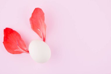 Gerçeküstü bir kavram. Gladiolus yaprakları ve yumurta. Pembe arka planda yaratıcı konsept. Kulaklı yumurta. Üstte görüntü