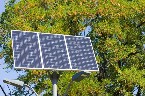 Solar Device Street Lamp Background Blue Sky Street Light Powered Stock Photo