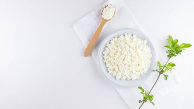 Beyaz arka planda beyaz tabakta süzme peynir. Yumuşak peynir ve tahta kaşık. Beyaz peçetede yeşil yapraklı süzme peynir ve dal. Üst Manzara. Boşluğu kopyala