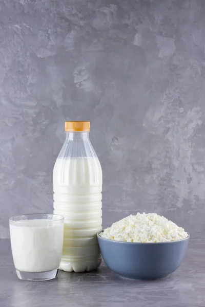 Various dairy products. Healthy dairy products on a gray background. Milk and cottage cheese. Copy space