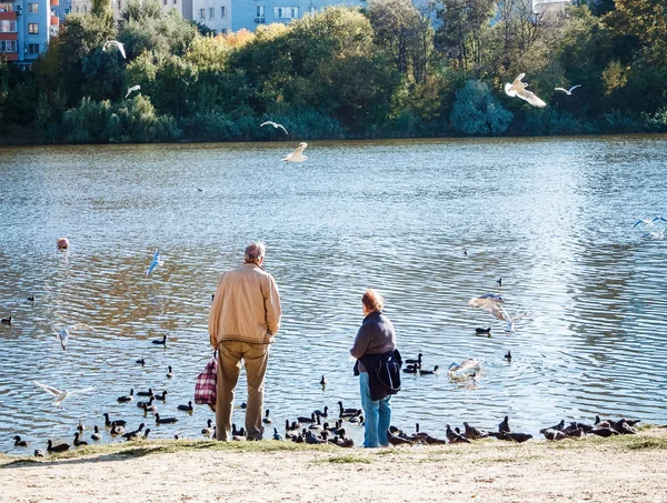 elderly couple feeding ducks by the lake