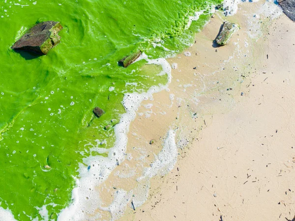 Sea of Azov in October - algae bloom — Stock Image Sea Azov October Algae Bloom Royalty Free Stock Photos