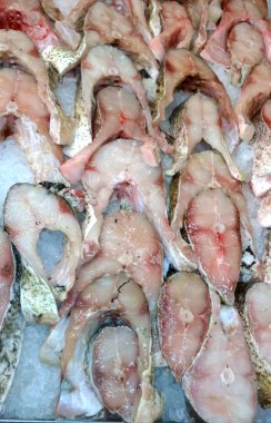 buz parçaları üzerinde taze balık yayın balığı