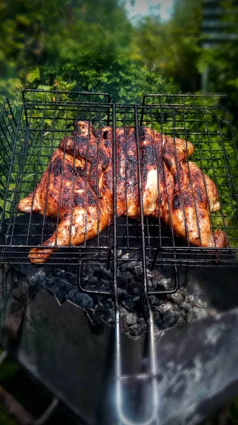 숲에서 열린 불에 구운 닭고기 — 스톡 사진