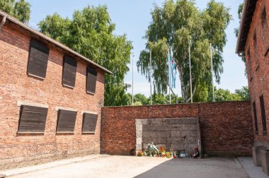 Auschwitz'de anıt binalar çiçekli arasında