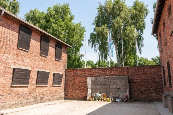 Minnesmärke Vid Auschwitz Mellan Byggnader Med Blommor Royaltyfria Stockbilder