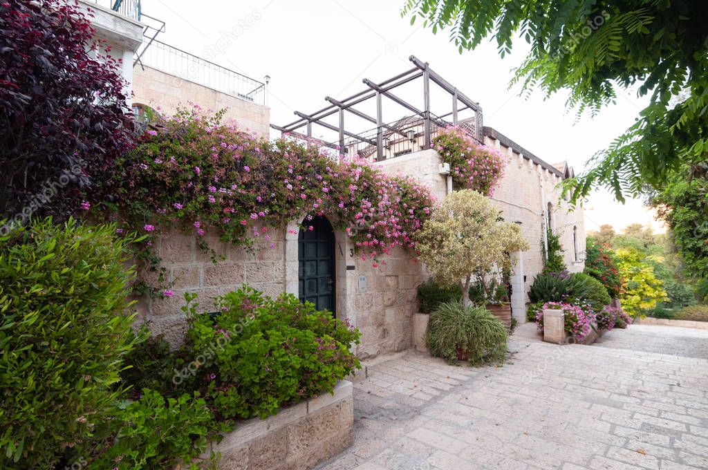 Garden and Flowers at Israeli Home and walkway