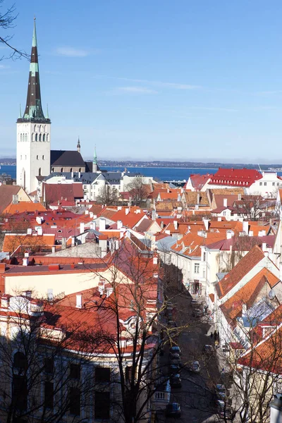 Tallinn eski şehir merkezi güneşli yaz gününde