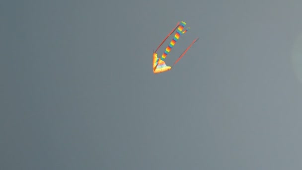 Cometa colorida volando en el soleado cielo azul del verano . — Vídeos de Stock