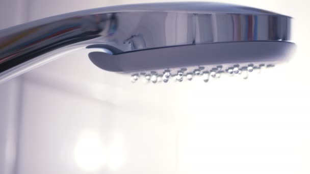 El agua gotea de la cabeza de la ducha — Vídeo de stock