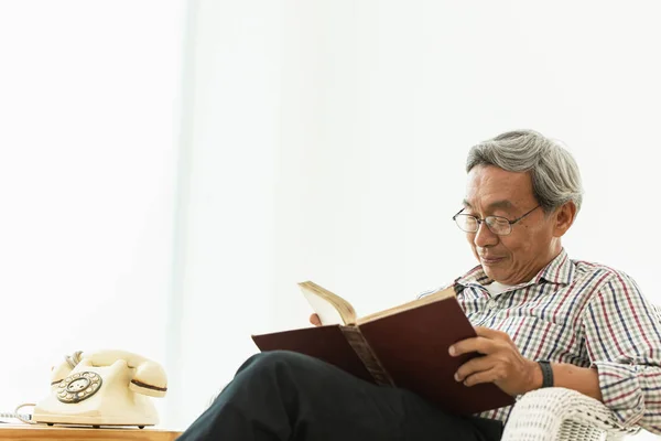 Asian Old Man Glasses Professor Sitting Chair Reading Textbook Copyspace — Stock Photo, Image
