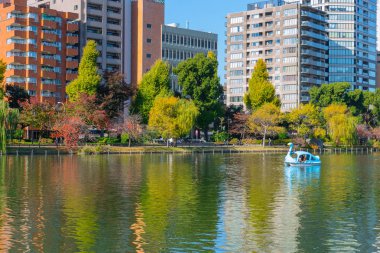 Ueno Park en popüler kamu yeşil alan lake orta 8.800 ağaçlar ve sakura baharda çiçek 1873 yılında kurulan Tokyo pedal tekneler ile rahatlayın. Kasım 2017., Tokyo Japonya.