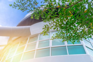 Ofis windows yeşil ağaç Eko Binası sıcaktan korumak için uv güneş