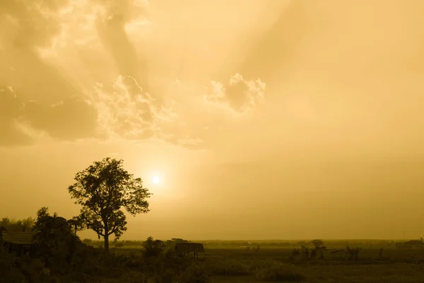 Silhueta Rural Com Pôr Sol Céu Dourado Brilhante Para Fundo — Fotografia de Stock