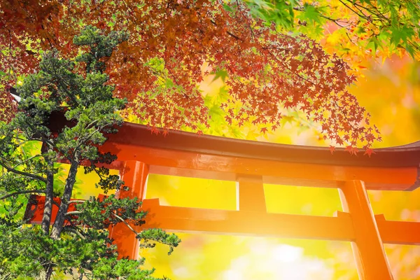 Klon Charakterem Drewniane Bramy Czerwony Japonia Jesień Sezon Podróży Ozdoba — Zdjęcie stockowe