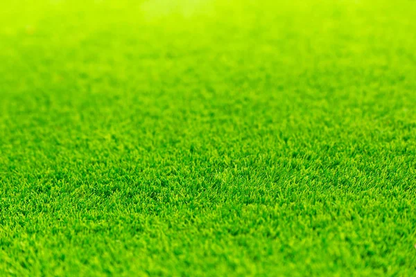 Green Grass Bright Vivid Field Empty Space Nature Background — Stock Photo, Image