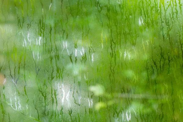 ガラス窓 自然の背景に緑色のぬれた湿った水を凝縮します — ストック写真