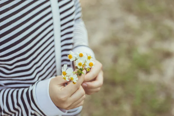 Meisje Hand Bedrijf Gras Bloem Leuk Romantisch Voor Liefde Achtergrond — Stockfoto