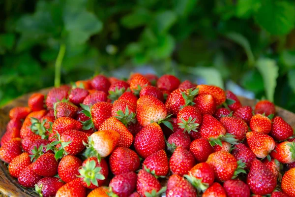 Strawberry Most Pesticide Residue Fruit Danger — Stock Photo, Image