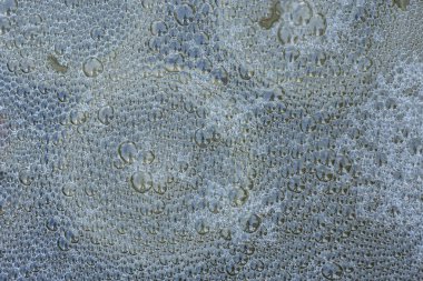 closeup pis koku kabarcık kanalizasyon su