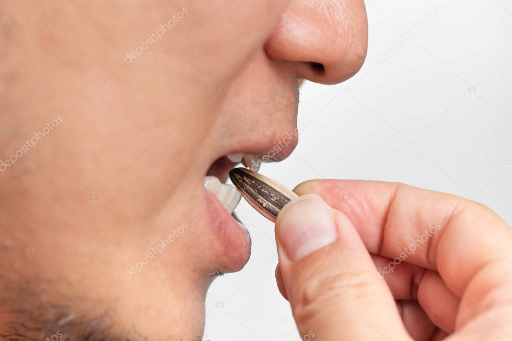 people eating roasted sunflower seed bite at crisp shell to eat seed inside.