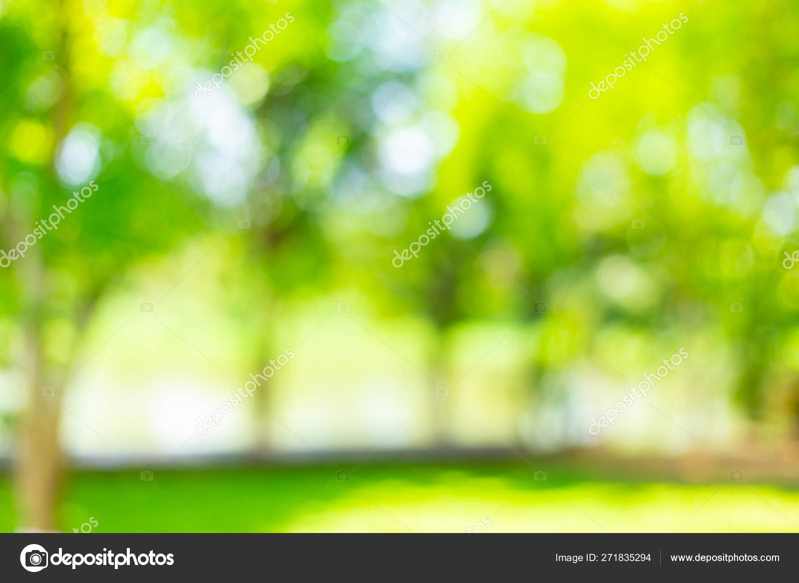 Blur Green Tree Outdoor Park Garden Abstract Background Stock ...
