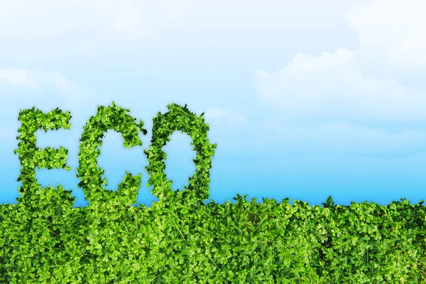 Green Eco Earth Day Concept Art Met Ruimte Voor Achtergrond — Stockfoto