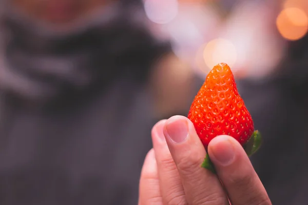 Japanese Big One Strawberry Show People Hand — Stock Photo, Image