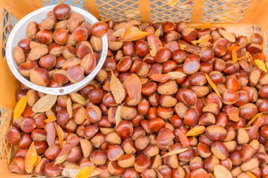 Japonya pazarında Japon Kestane çiğ uncook satış