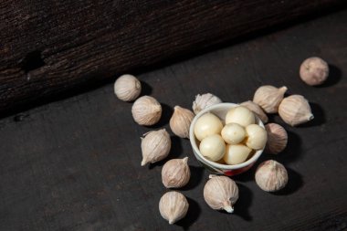 Fil Sarımsak Tek Ampul formu siyah ahşap arka plan üzerinde sağlıklı bitki aroması gıda madde