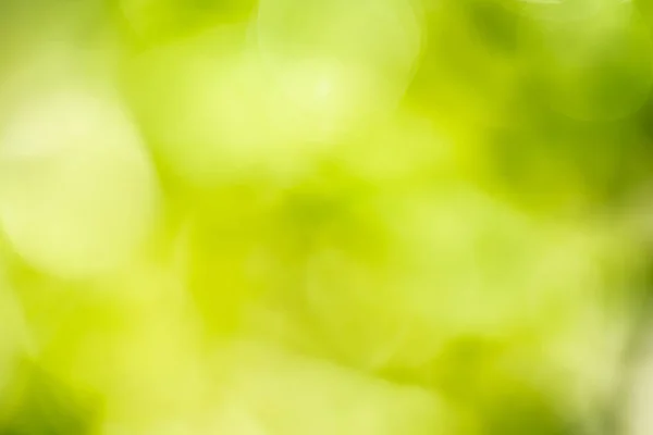 Wazig Groene Dag Natuur Fris Kleur Abstract Voor Achtergrond — Stockfoto