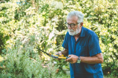 Yaşlılar tatilde evde kalıp arka bahçedeki bitkileri buduyor..