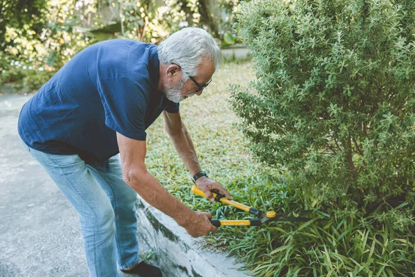 Sağlıklı Yaşlı Adam Evde Çalışırken Arkasını Yasladı Arka Bahçedeki Çalıları — Stok fotoğraf
