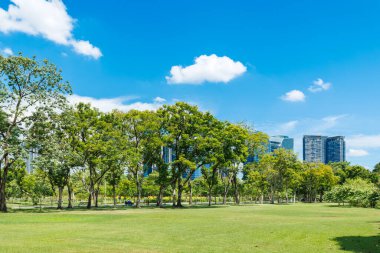 Modern yeşil şehirde kamu parkı, temiz ozon tasarrufu ortamı için Metro yeşillik alanı yaz mavi gökyüzü arkaplanı
