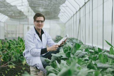 Organik çiftlikte bitki araştırması yapan bilim adamları. Biyolog çalışması online dijital tablet cihazıyla bitki yetiştirme verileri topluyor