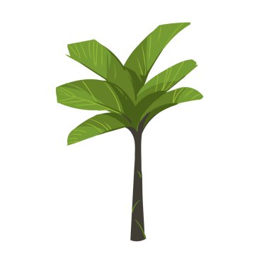 Elle çizilmiş vektör karikatür yaz saati grafik çizimler sanat ile egzotik tropik muz palmiye ağacı üzerinde beyaz arka plan izole