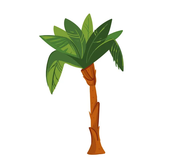 Hand getrokken vector abstracte cartoon zomertijd grafische illustraties kunst met exotische tropische palmboom geïsoleerd op witte achtergrond — Stockvector