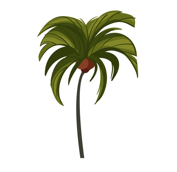 Hand getrokken vector abstracte cartoon zomertijd grafische illustraties kunst met exotische tropische kokosnoot palmboom geïsoleerd op witte achtergrond — Stockvector