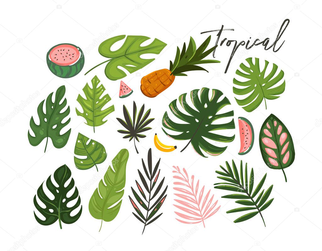 Hand drawn vector abstract cartoon summer time graphic illustrations art collection set with exotic tropical palm tree leaves and watermelon,banana and pineapple fruits isolated on white background