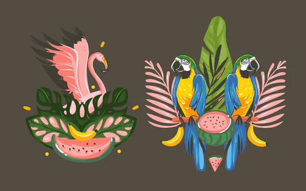 Kézzel rajzolt vektoros absztrakt rajzfilm nyáron grafikai díszítése illusztrációk jel Inkasszó Ara papagáj madarak elszigetelt fekete háttér és egzotikus trópusi esőerdő rózsaszín flamingó — Stock Vector