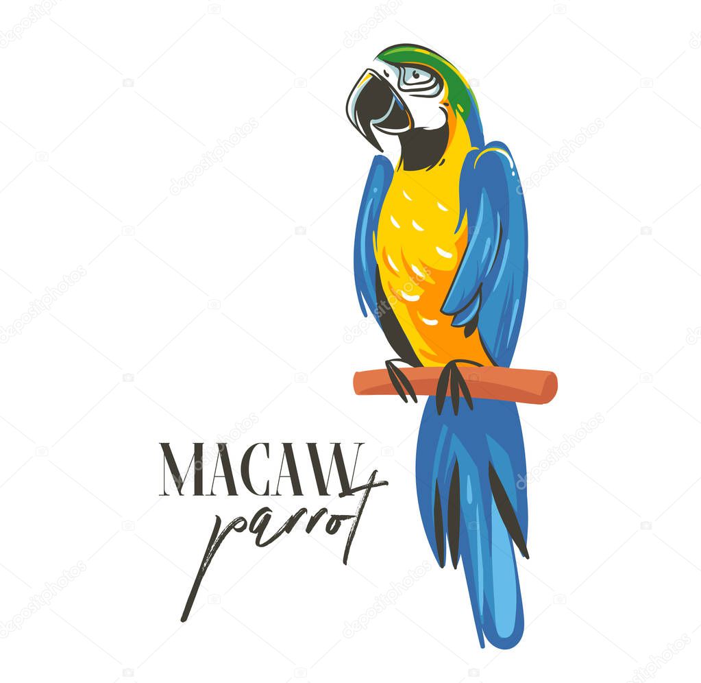 Hand drawn vector abstract cartoon summer time graphic decoration illustrations art with exotic tropical rainforest Parrot Macaw bird isolated on white background