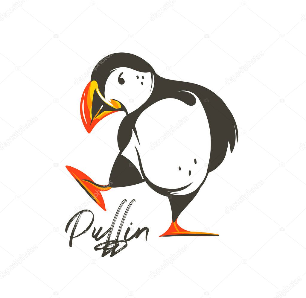 Hand drawn vector abstract cartoon summer time graphic decoration illustrations art with Icelandic puffin bird isolated on white background
