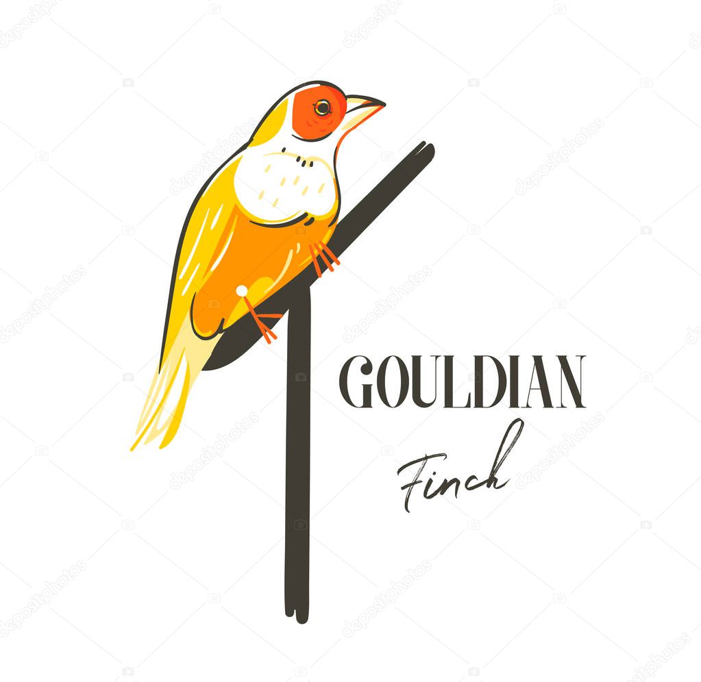 Hand drawn vector abstract cartoon summer time graphic decoration illustrations art with exotic tropical rainforest Gouldian finch bird isolated on white background