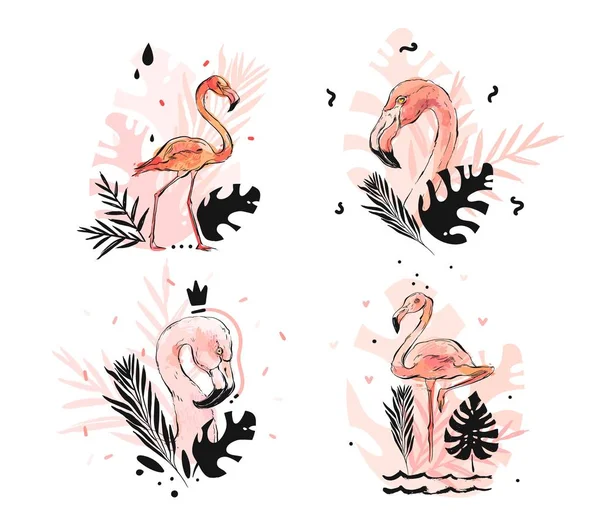 Vettore disegnato a mano astratta grafica a mano libera schizzo rosa fenicottero e foglie di palma tropicale disegno illustrazione raccolta insieme con elementi decorativi moderni isolati su sfondo bianco — Vettoriale Stock