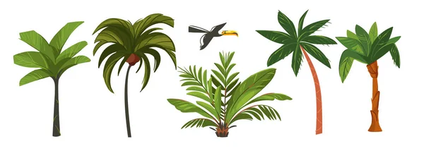 Ручной рисунок векторные абстрактные мультфильмы летнего времени графические иллюстрации коллекция искусства набор с экзотическими тропическими пальмами изолированы на белом фоне — стоковый вектор