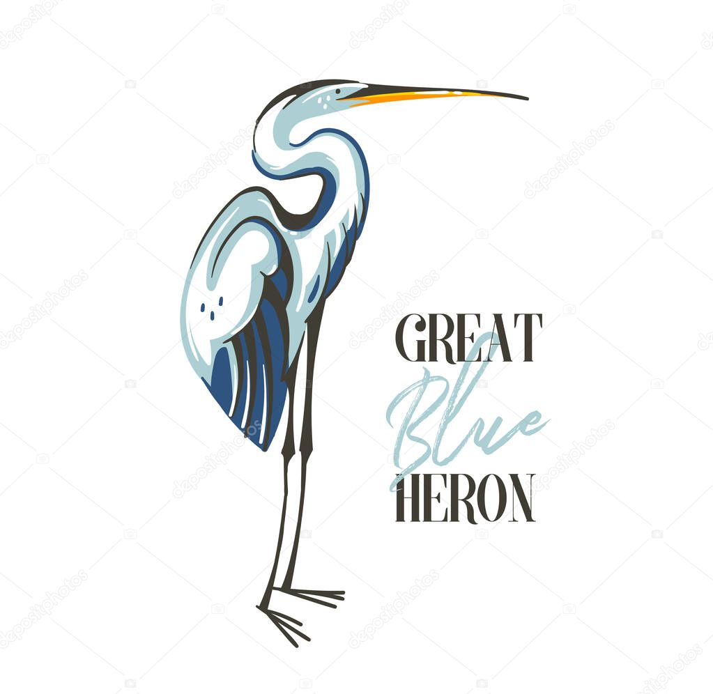 Hand drawn vector abstract cartoon summer time graphic decoration illustrations art with exotic tropical rainforest Great Blue Heron bird isolated on white background